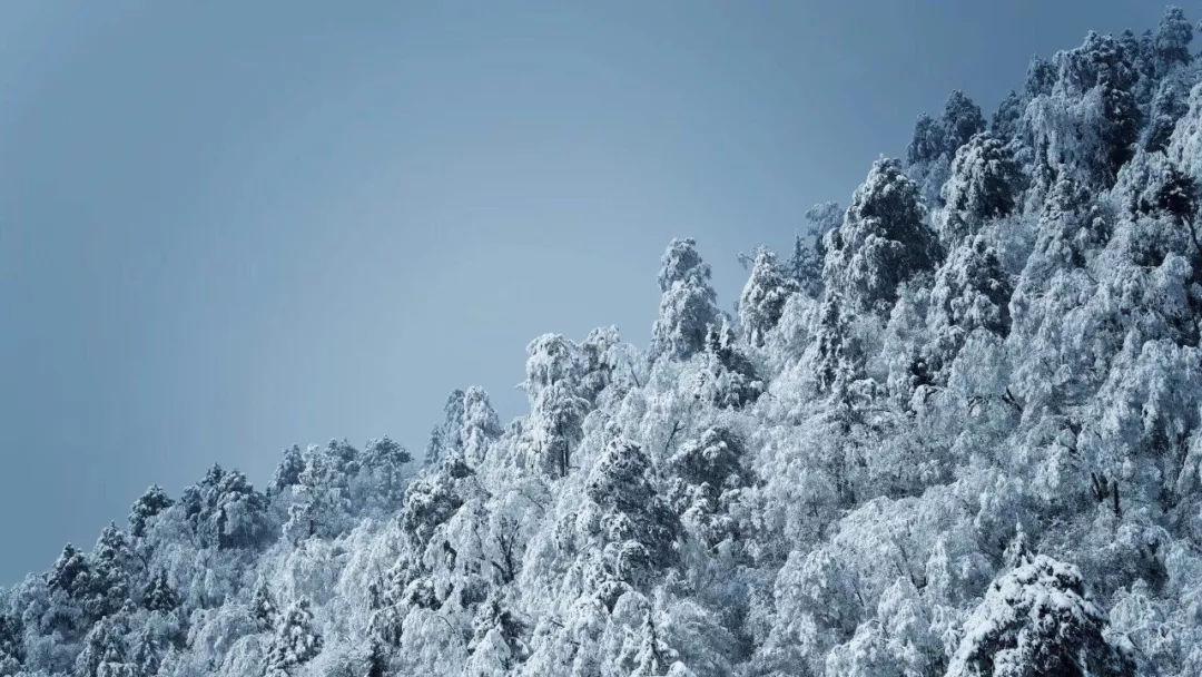 维力医疗:一次性使用可视双腔喉罩获二类医疗器械注册证