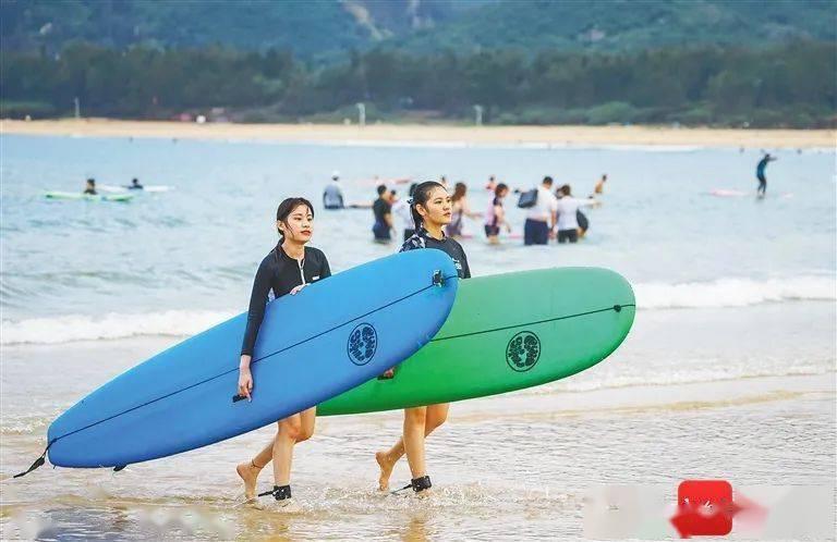 孤独的流浪者救援